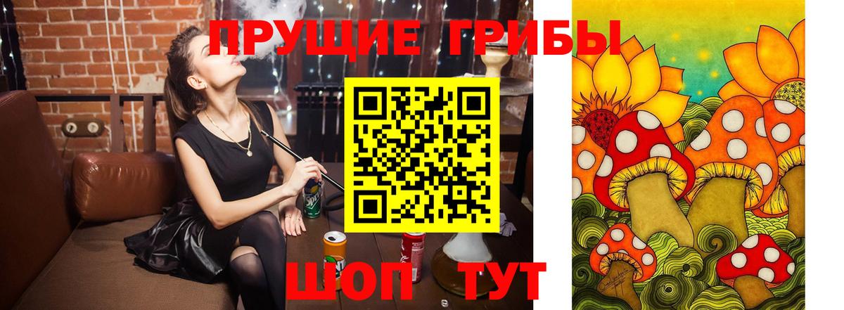 Псилоцибиновые грибы ЛСД  Галлюциногенные грибы Psilocybine cubensis  Вход с VPN  Курганинск 