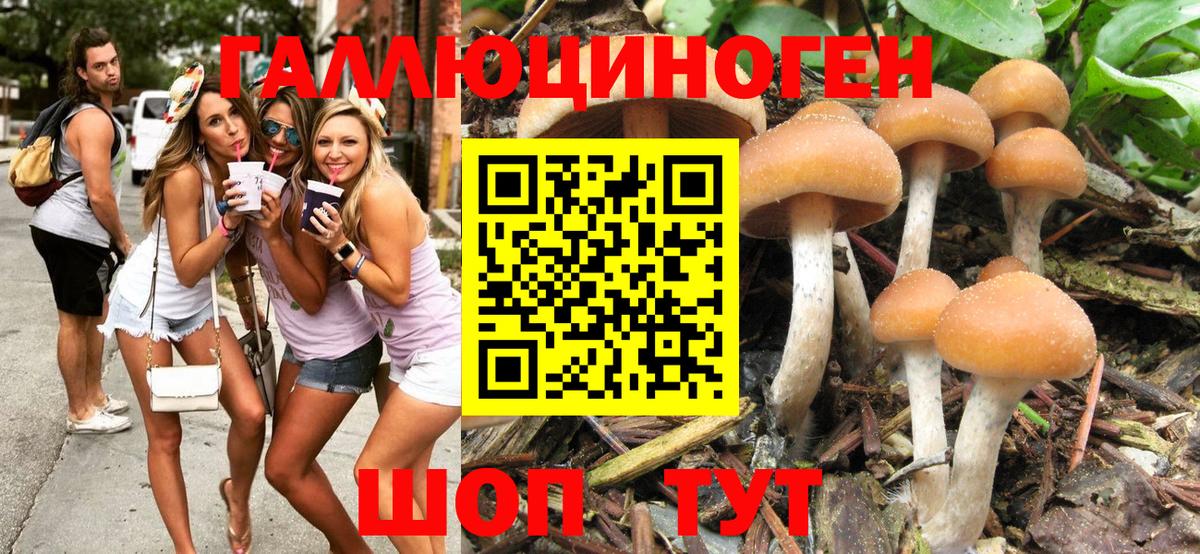 Галлюциногенные грибы MAGIC MUSHROOMS Курганинск